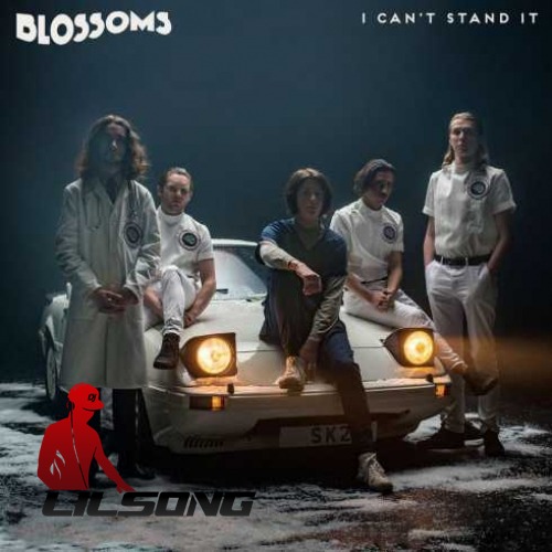 Blossoms - I Cant Stand It